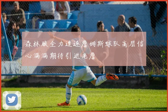 森林狼全力追逐詹姆斯球队高层信心满满期待引进老詹