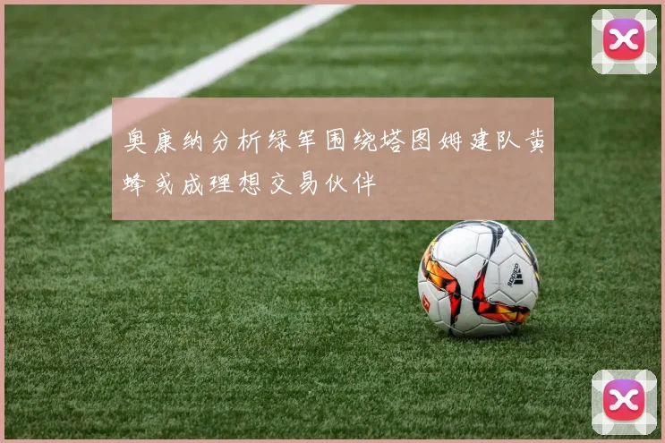 奥康纳分析绿军围绕塔图姆建队黄蜂或成理想交易伙伴