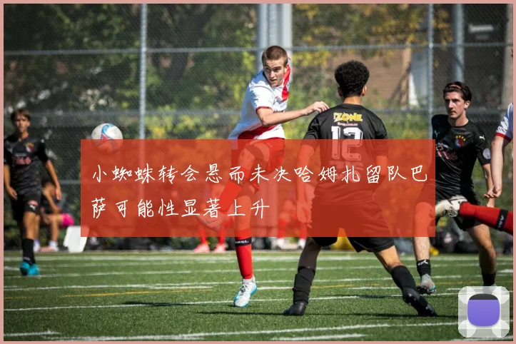 小蜘蛛转会悬而未决哈姆扎留队巴萨可能性显著上升